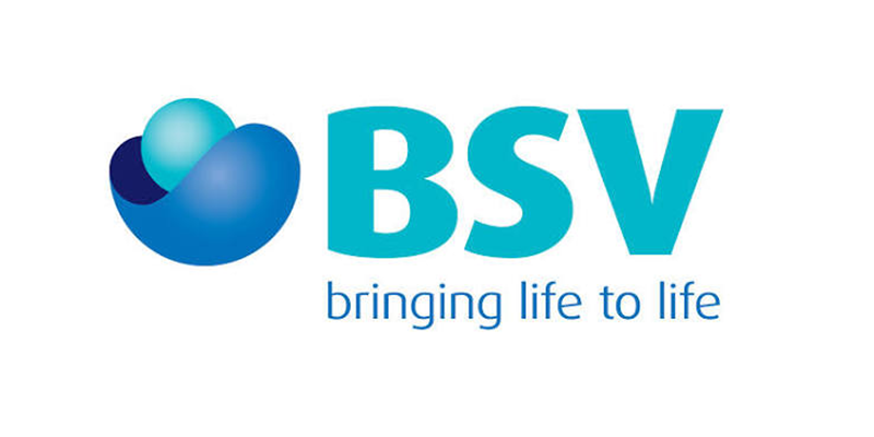 Besins / BSQ